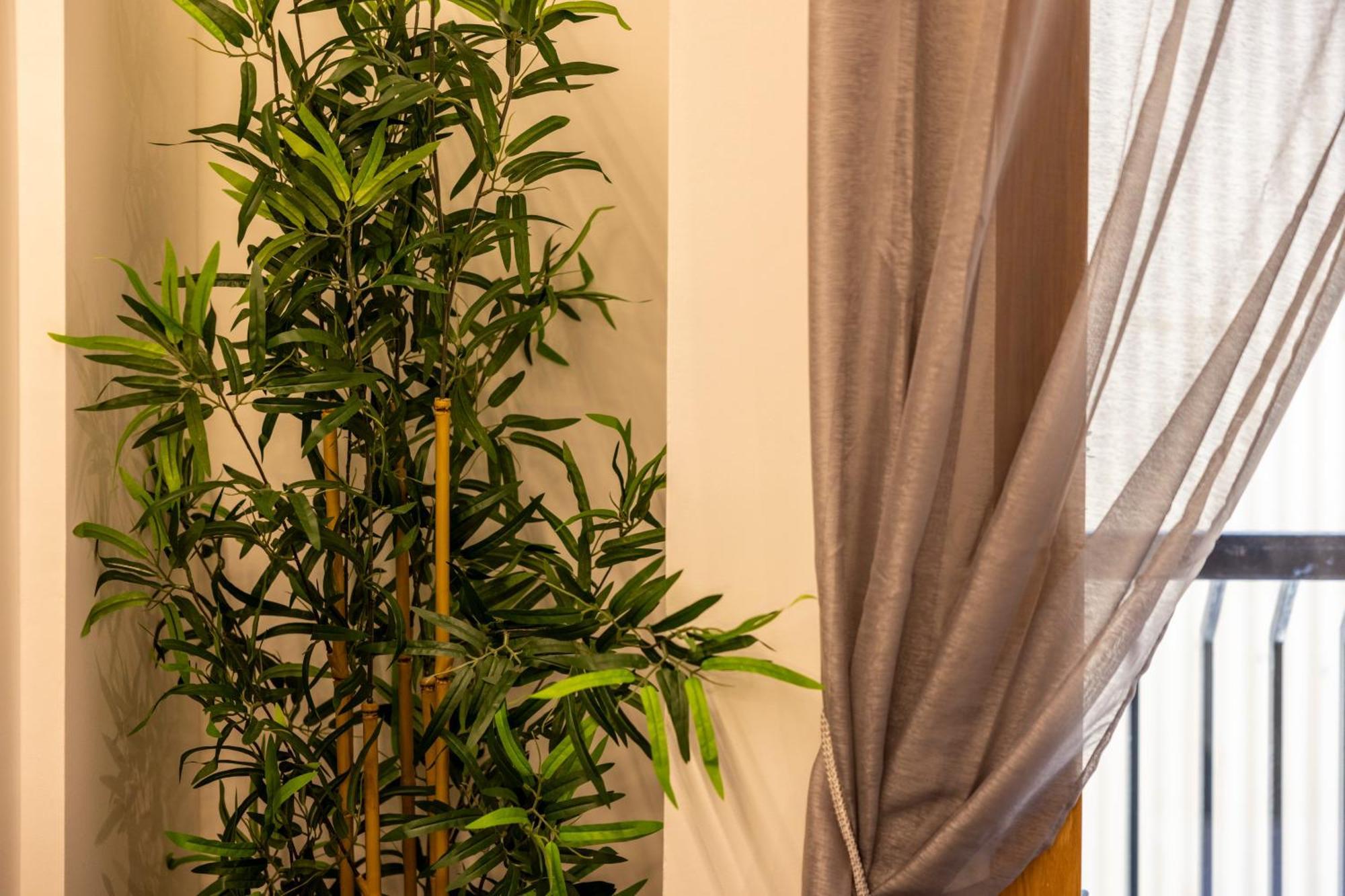 Estudio Para Grupos Pequenos En El Pas De La Casa - Centrico Exterior photo